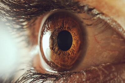 Close Up Of Brown Eye
